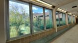 indoor grass window graphic window decal akron skyway walkway