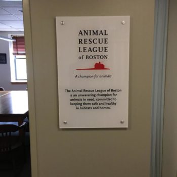 animal rescue league of boston inside wall glass decal