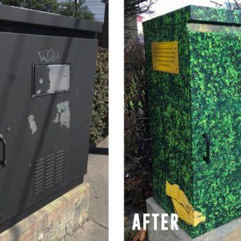 outdoor electrical box nature wrap
