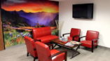 landscape full wall decal in waiting room