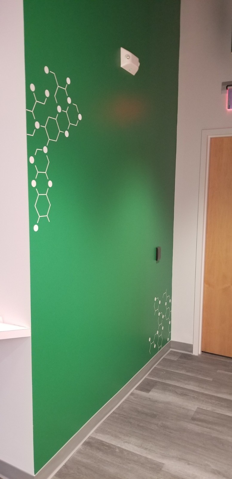 Babson wall graphic 