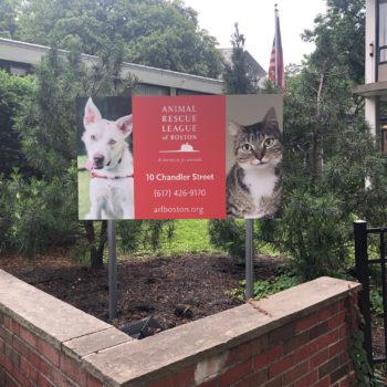 animal rescue league of Boston outdoor directional sign 