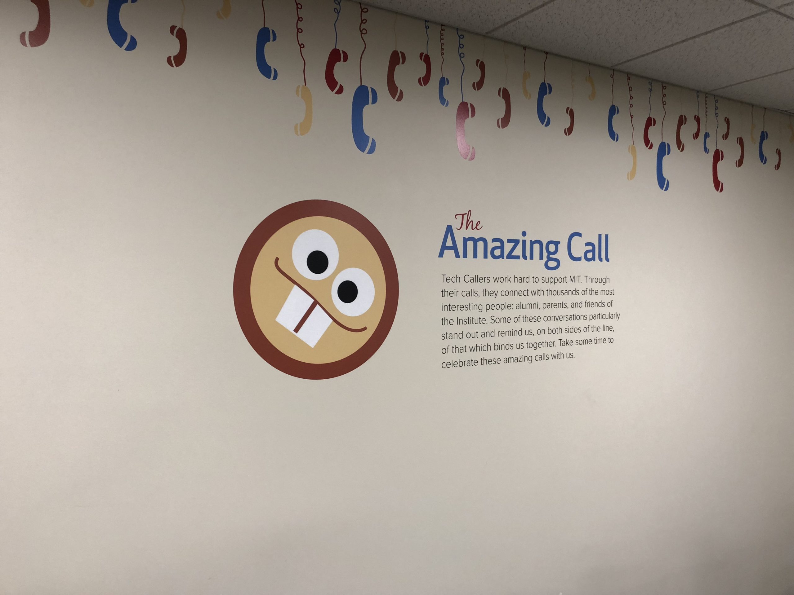 MIT the amazing call wall graphic 