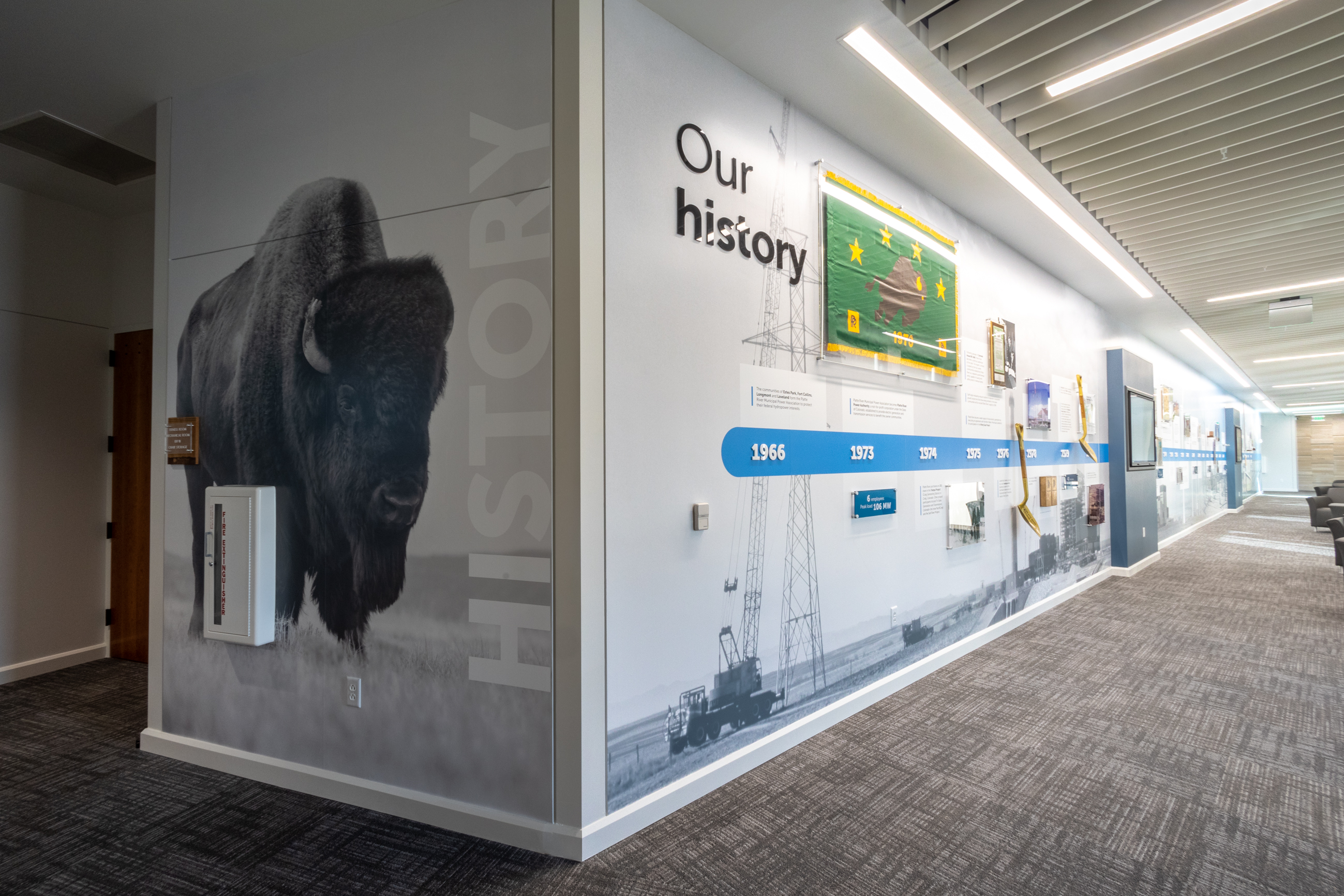 History Wall Murals