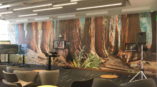 indoor wall graphics for business conference rooms