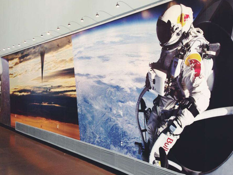 wall murals for museums and displays