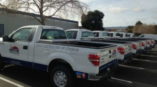 A fleet of white trucks with custom vehicle wraps