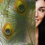 Privacy Window Films Chicago | Decorative & Reflective Films