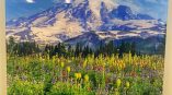 Acrylic wall sign featuring a mountain and wildflower landscape mounted in Chicago Downtown.