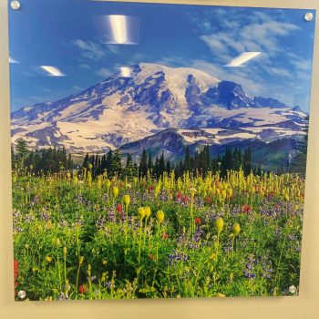 Acrylic wall sign featuring a mountain and wildflower landscape mounted in Chicago Downtown.