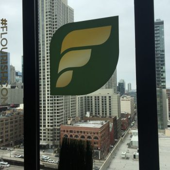 Green and yellow vinyl window graphic with leaf design on office window in Chicago Downtown.