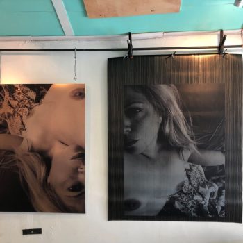 Two large artistic photographic prints on canvas hanging on a wall in Chicago Downtown.