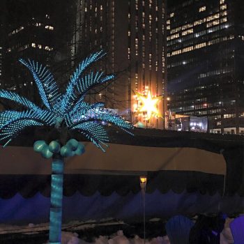 Illuminated LED palm tree decoration and large star light sign in Chicago Downtown at night.