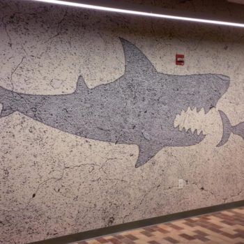 Sea life wall mural