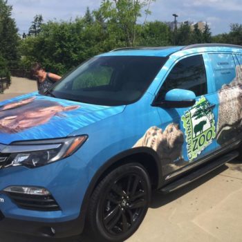 A vehicle wrap on various animals for the cincinnati zoo