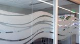 SpeedPro Cincinnati North Ohio Custom Window Graphics Privacy Film