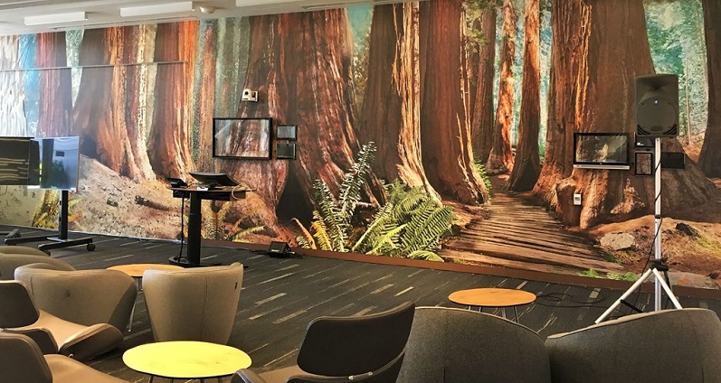 Wall mural of redwood trees in an area with seating and audio/visual equipment