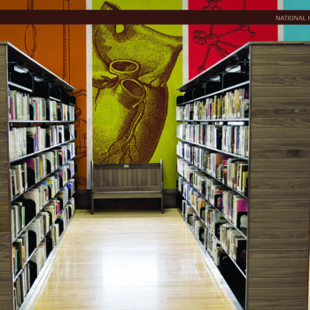 Library wall graphics