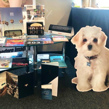 Pamphlets displayed on a table created by SpeedPro with cut out of a dog 