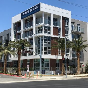 Building surrounded by palm trees with a "now leasing" sign