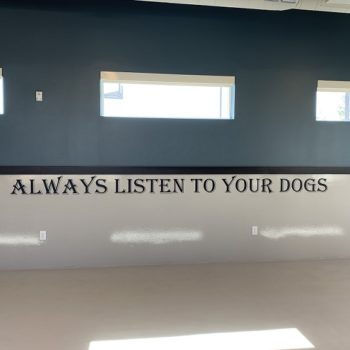 pet spaw wall decal that says 