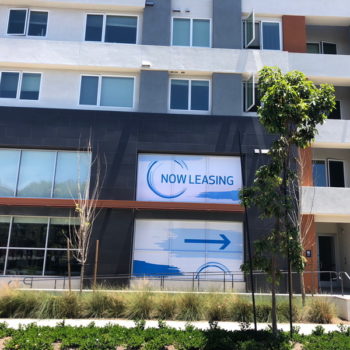 Now leasing sign in building window
