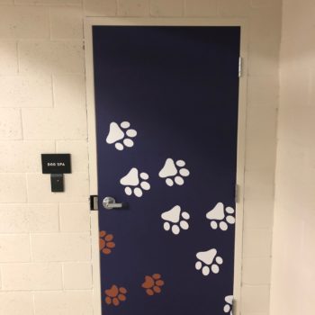 Paw print decals on a door for a dog spa