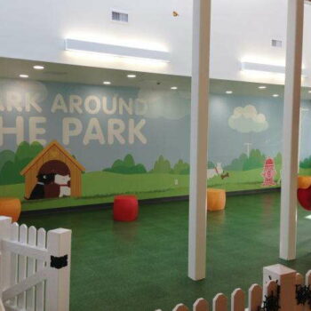 Large wall coverings at indoor pet park