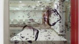 Water splash window graphic