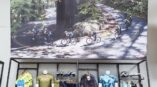 Retail environment custom wall graphics and signage