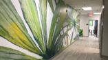Plants wall mural