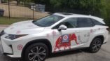 The year of the daisy vehicle wrap with elephant
