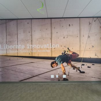 Custom wall mural installation Dallas