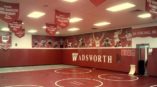 Gymnasium Wall Murals