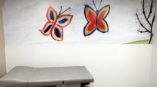 Buttefly wall mural