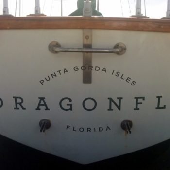 Dragonfly boat decal
