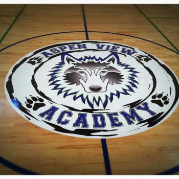 School Logo Gym Floor Graphics Basketball Court Minneapolis Eden Prairie Edina Bloomington