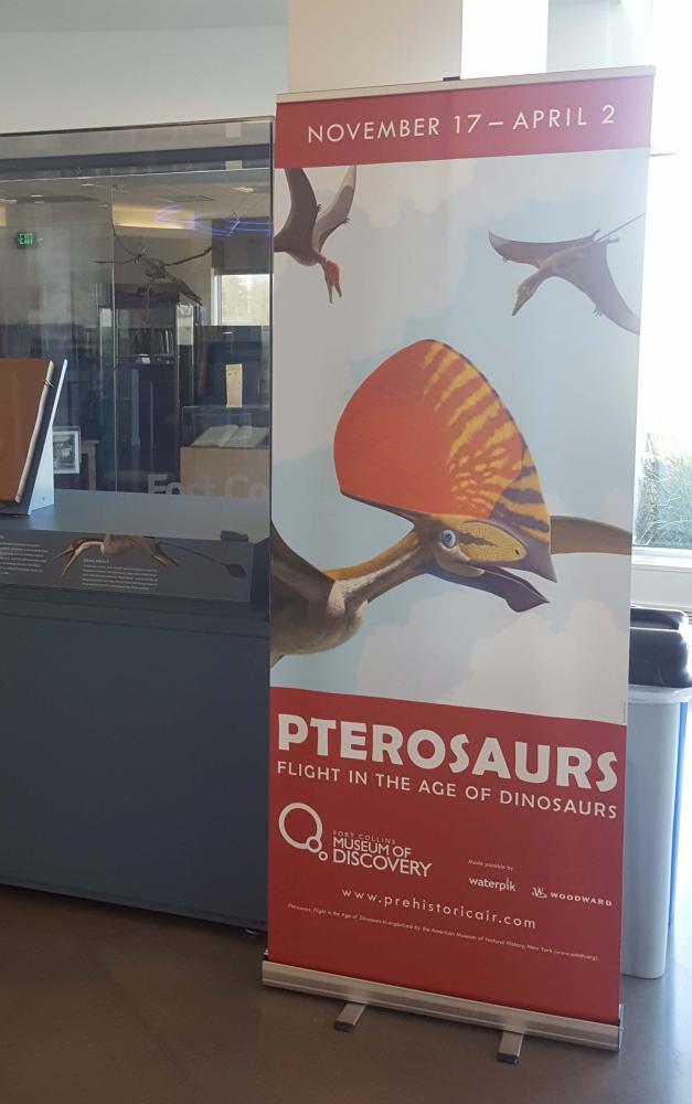 Pterosaurs standing banner 
