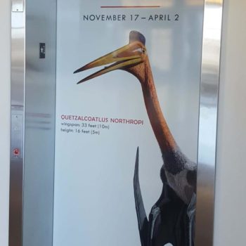 Pterosaurs exhibit elevator decal Quetzalcoatlus 