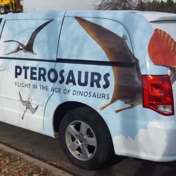 Pterosaurs car design side view 