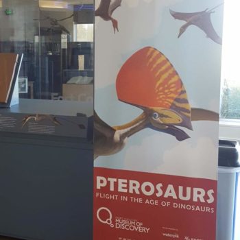 Pterosaurs retractable sign outside of exhibit 