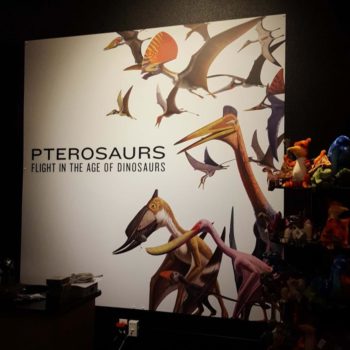 Pterosaurs wall graphic 