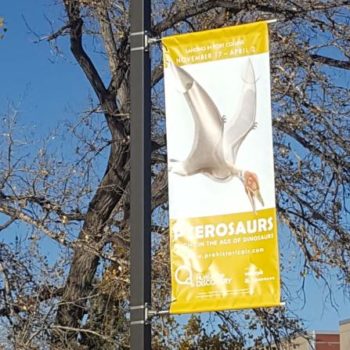 Pterosaurs outdoor light banner 