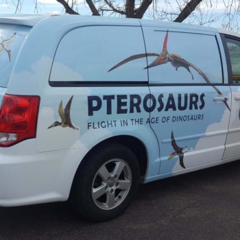 Pterosaurs van wrap with flying dinosaurs on it 