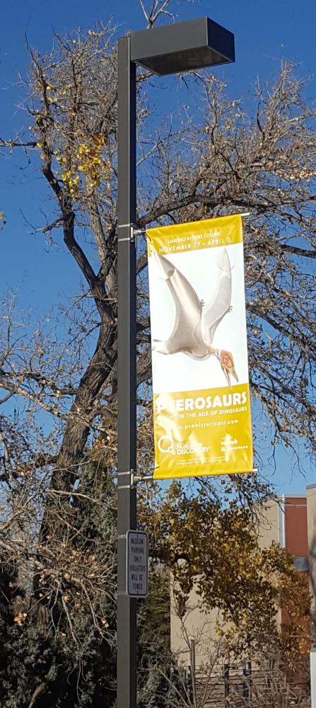 Pterosaurs yellow street banner 