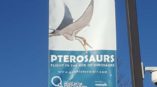 Pterosaurs blue street banner close up