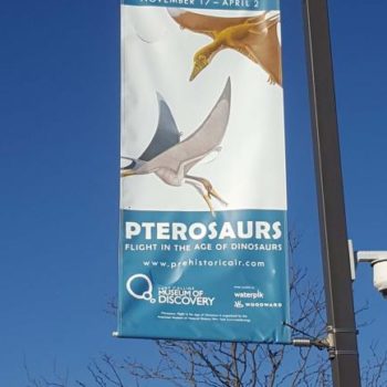 Pterosaurs light bloor banner 
