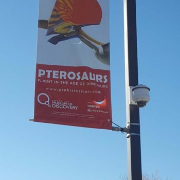Pterosaurs red outdoor banner 