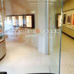 Opticians store front window logo