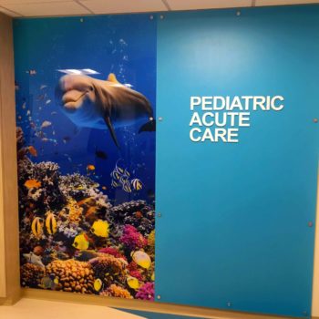 Dolphin mural in an office